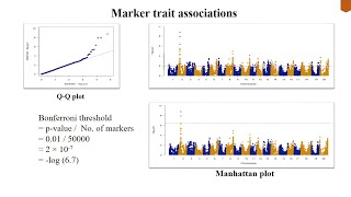 Genome Wide Association Study GWAS  Association mapping  Linkage Disequilibrium mapping [upl. by Rennat]