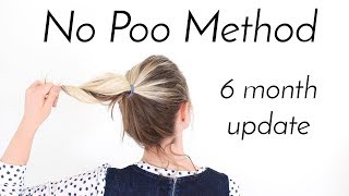 Updated No Poo Hair Routine  Coloured Bleached Hair [upl. by Frohman]