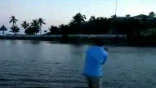 Backyard Bonefish Fly Fishing Islamorada Florida Keys [upl. by Hairacaz549]