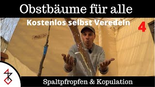 Obstbäume selbst Veredeln  Spaltpfropfen und Kopulation [upl. by Rammaj]