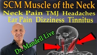 The SCM Muscle of the Neck  The Common Cause of Neck Pain TMJ Headaches Dizziness Tinnitis [upl. by Melba]