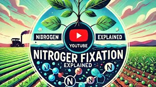 Nitrogen fixation nitrogen fixation ke factnitrogenfixation [upl. by Yerac]