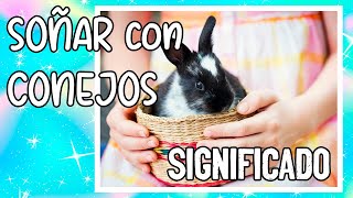 10 SIGNIFICADOS cuando SUEÑAS con CONEJOS [upl. by Enna]