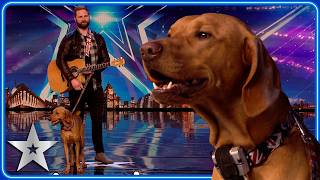 SINGING DOG performs cover of Summer of 69  Unforgettable Audition  Britains Got Talent [upl. by Eilrebmik99]