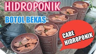 CARA MENANAM CABE HIDROPONIK BOTOL BEKAS [upl. by Baoj]