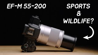 The Best Telephoto Lens for Canon EFM Cameras  EFM 55200mm IS STM [upl. by Machos953]