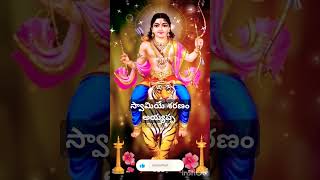 🙏ayyappa 🙏sancharivolga ayyappaswamysongs ayyappastatus vashivolga [upl. by Esenahs]