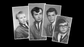 The Trashmen  Surfin Bird Dance Beat 1965 version [upl. by Chemesh]