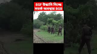 BSF vs BGB at India Bangladesh Border [upl. by Aidnahs]