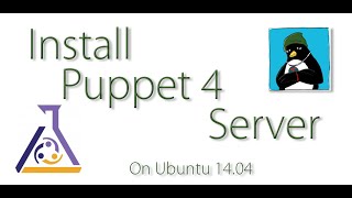 Install Puppet Server 43 on Ubuntu 14 04 [upl. by Ayim742]