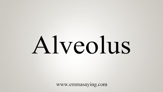 How To Say Alveolus [upl. by Buller]