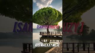 SanterCruzy  MaEXXYMese ft Tinoh xChigogoderaOfficialVideo ampLyrics [upl. by Wilcox]