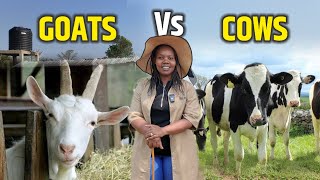 Goats Vs Cows  Which Is More Profitable [upl. by Retnyw896]