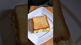 Best Sandwich youtubeshorts viralshorts trendingshorts [upl. by Colwen]