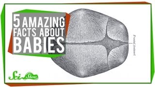 5 Amazing Facts About Babies [upl. by Aidole416]