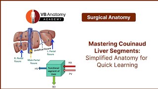 Mastering Couinaud Liver Segments Simplified Anatomy for Quick Learning [upl. by Medina]