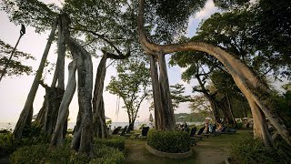 Khaolak Merlin Resort Living in Harmony with Nature Thai Subtitles [upl. by Askari]