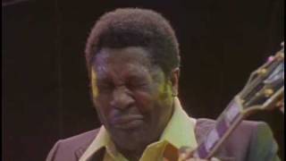 BB King  I Believe To My Soul  Live in Africa 1974 [upl. by Esimorp438]