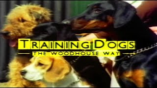 Training Dogs The Woodhouse Way  Barbara Woodhouse [upl. by Amzaj]