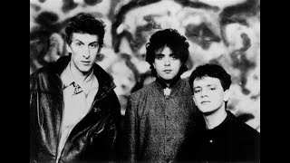 The Icicle Works  Live Merseyside Music Show Royal Court Liverpool 15th March 1983 [upl. by Einalem]