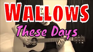 Wallows  These Days  Fingerpicking Guitar Cover [upl. by Alyehc]