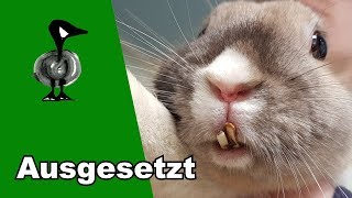 Ausgesetzt  Tiernotruf 194 [upl. by Adiehsar]