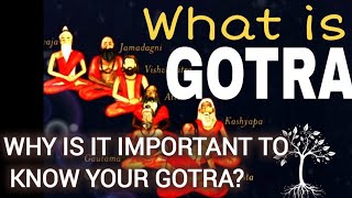 what is Gotra Why you must know your Gotra Significance of Gotra in Hinduism [upl. by Adnoval]