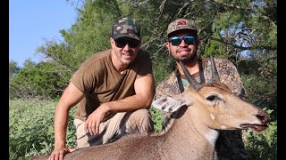 Safari style Nilgai Hunting in South Texas [upl. by Lesya]