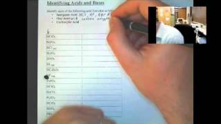 Identifying Acids and Bases [upl. by Hulbig]