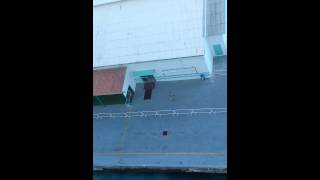 Carnival Breeze pier runners left behind [upl. by Kenti]