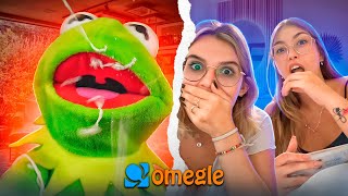 Kermit caught in the act on Omegle [upl. by Gustafson912]