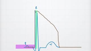 Cardiac Action Potential [upl. by Rizas]