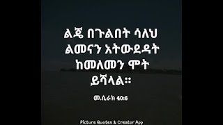 በ ኢንተርፕረነርሽፕ መበልጽግ audio book Chapter 11 A by Dr Woretaw Bezabih Amharic audio book business book [upl. by Phillip333]