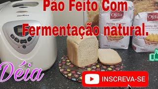 ✍️Como fazer Pão com Fermento Natural Na Panificadora🥖🍞 [upl. by Nitza871]