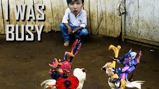 I WAS BUSY WATCHING MINION FIGHTS SingSing Dota 2 Highlights 1091 [upl. by Aekim]