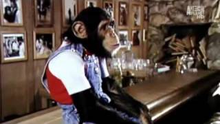 Michael Jackson and Bubbles Animal Planet Documentary Part 3 of 5 [upl. by Marwin]