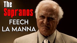 The Sopranos What Was Feech La Mannas Problem [upl. by Holtz]