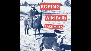 Roping wild bulls at Lake Mead [upl. by Phyllis634]