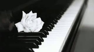 Chopin  Nocturne Op 9 n 2 Maurizio Pollini [upl. by Joni]