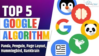 Top 5 Google Algorithms Related To SEO  Panda Penguin Hummingbird Page Layout amp RankBrain [upl. by Eynenihc417]