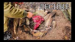 Дикая кухня  ЗАПЕЧЕННОЕ МЯСО В КАМЕННОЙ ЯМЕ  BUSHCRAFT COOKING IN STEAM PIT [upl. by Shermie580]