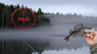 Hecht Barsch und Zander I Folge 2  Raubfisch im Nebel [upl. by Zanahs]