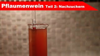 🍷 Pflaumenwein selber machen 🍷 Teil 2 messen und nachzuckern  Fermentastisch [upl. by Krahling816]