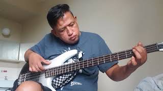 Never once bass cover [upl. by Meeki]