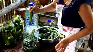 Naturally fermented cucumbers without vinegar [upl. by Eenahs]