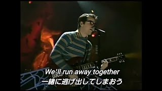 【和訳】Weezer  Island in the Sun Live [upl. by Eidderf]