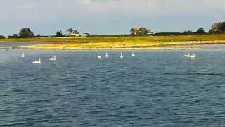 Ausfahrt Yachthafen Heiligenhafen vorbei am Graswarder von Heiligenhafen auf die weite Ostsee [upl. by Olen]