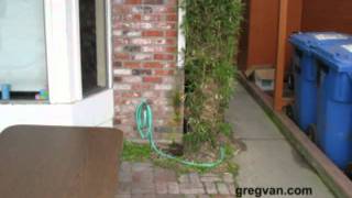 Missing Roof Gutter Downspout  House Water Damage Problems [upl. by Piggy]