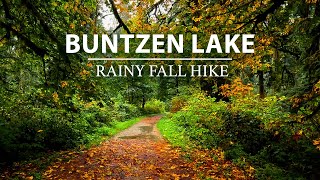 Lush Autumn Hike Gentle Rain Sounds amp Amazing Fall Colors [upl. by Ileane]