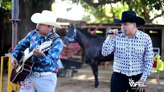 Tolin Infante Los Cedreños  En vivo desde la Cuadra “ El Buly “ [upl. by Gnaht]